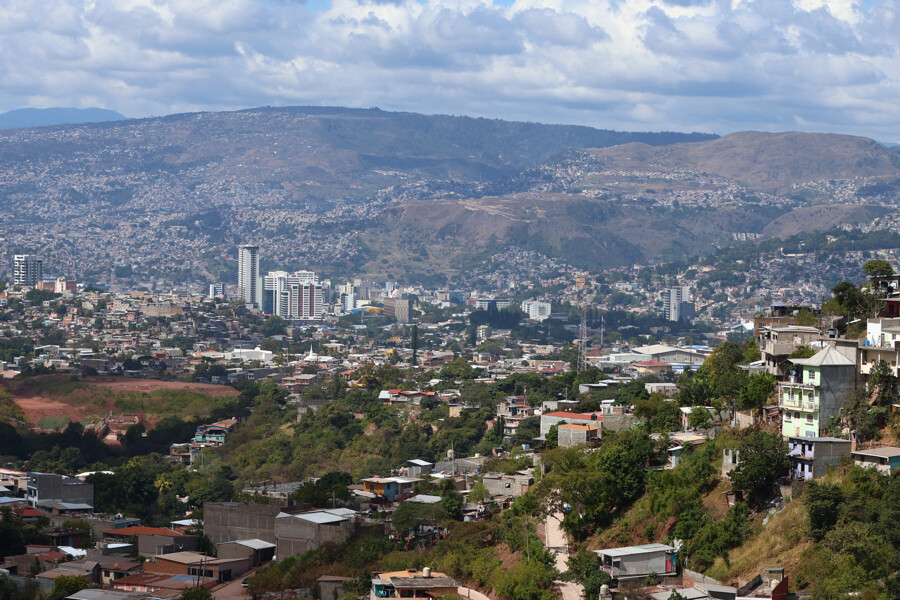Economy and Security, the Main Challenges for Asfura's New Government in Honduras